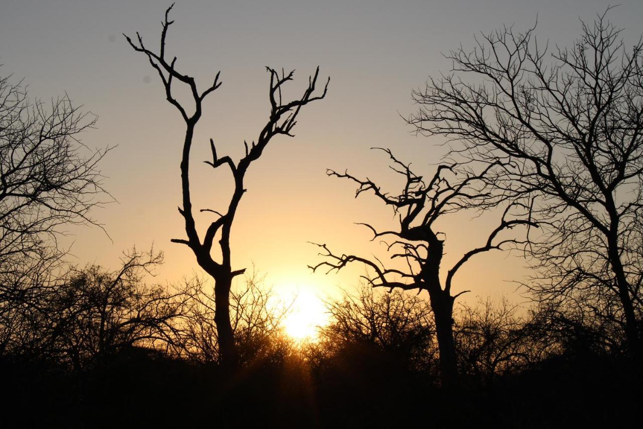 Thuhlo Lodge Hoedspruit Buitenkant foto