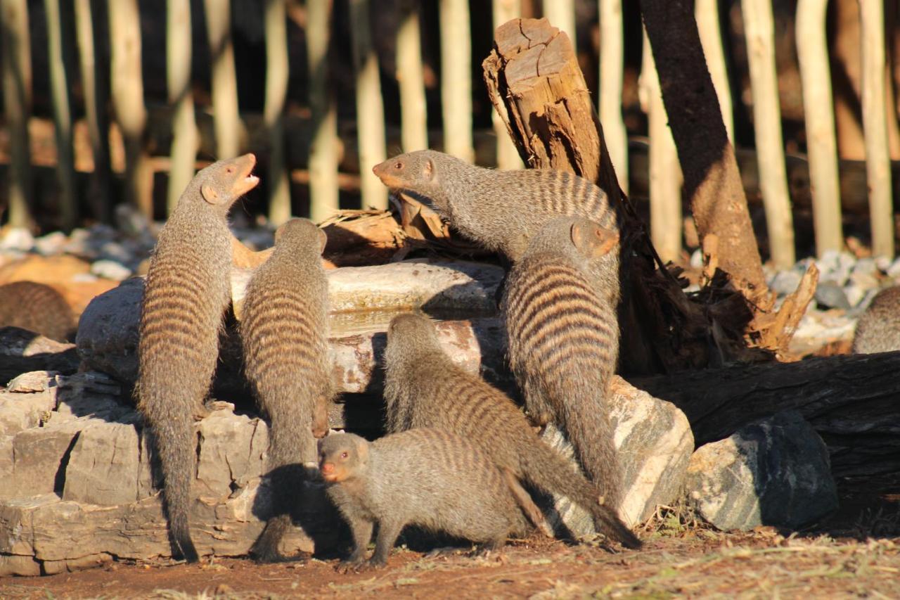 Thuhlo Lodge Hoedspruit Buitenkant foto