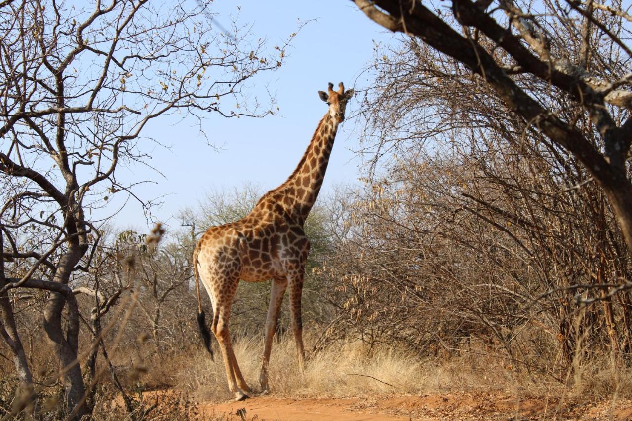 Thuhlo Lodge Hoedspruit Buitenkant foto
