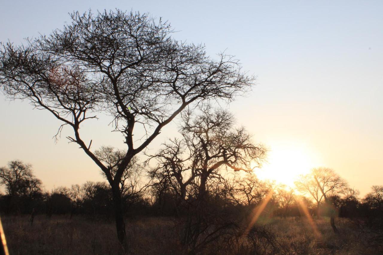 Thuhlo Lodge Hoedspruit Buitenkant foto