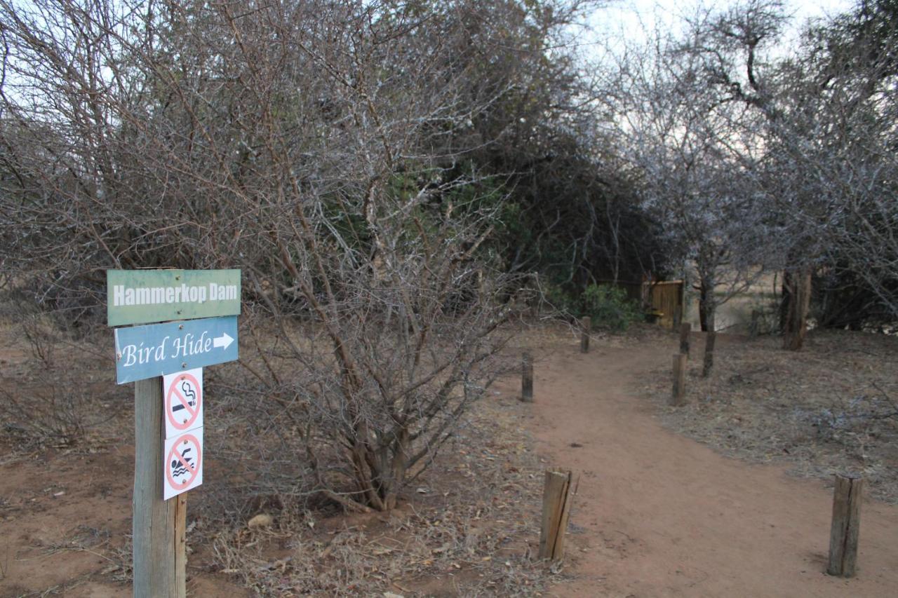 Thuhlo Lodge Hoedspruit Buitenkant foto