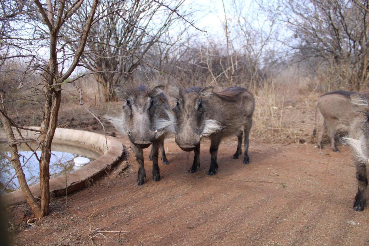 Thuhlo Lodge Hoedspruit Buitenkant foto