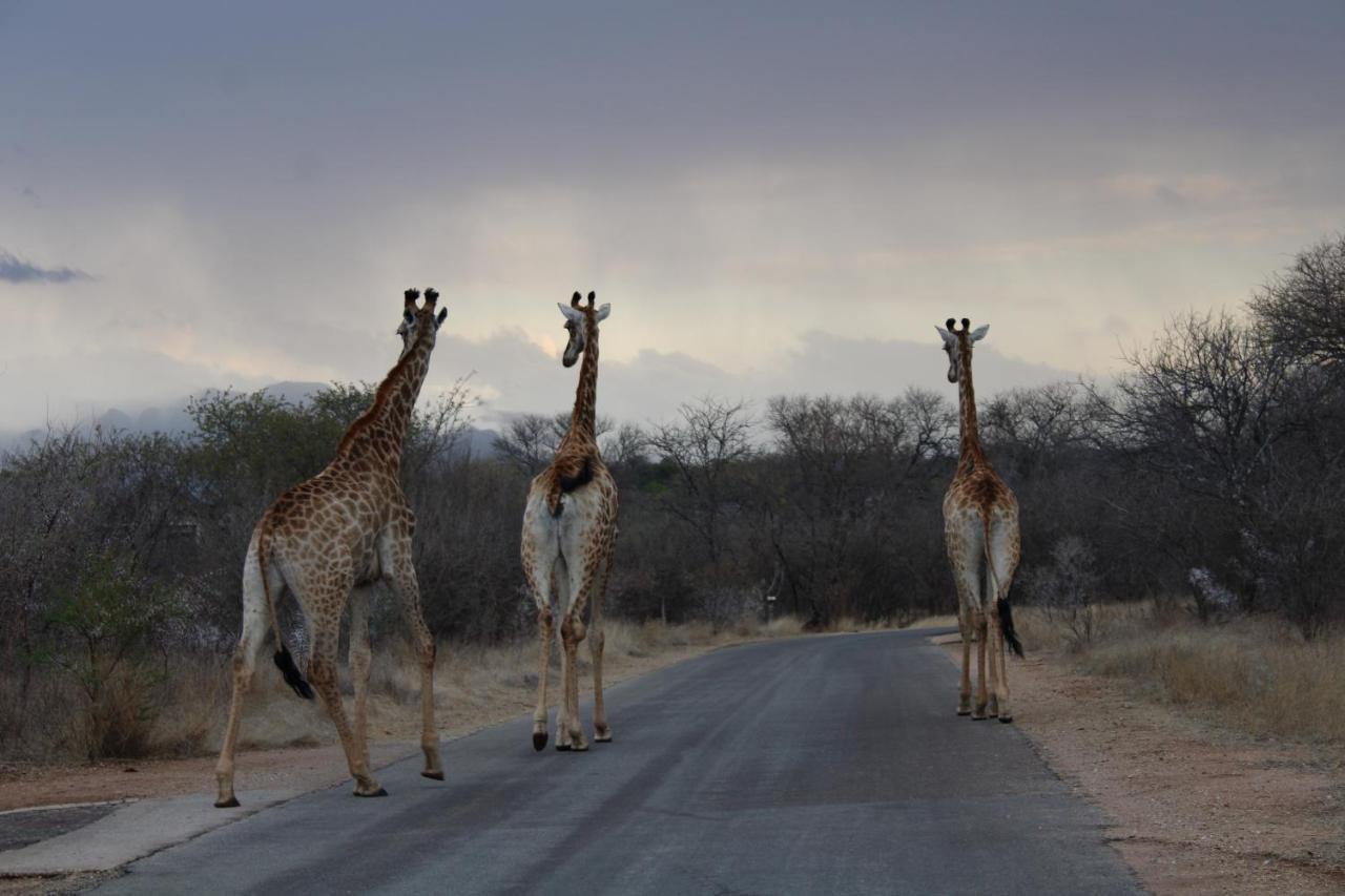 Thuhlo Lodge Hoedspruit Buitenkant foto