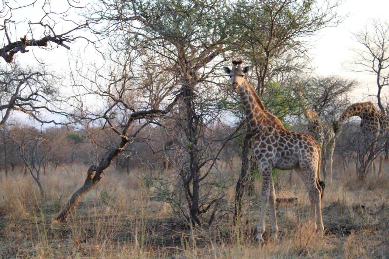Thuhlo Lodge Hoedspruit Buitenkant foto
