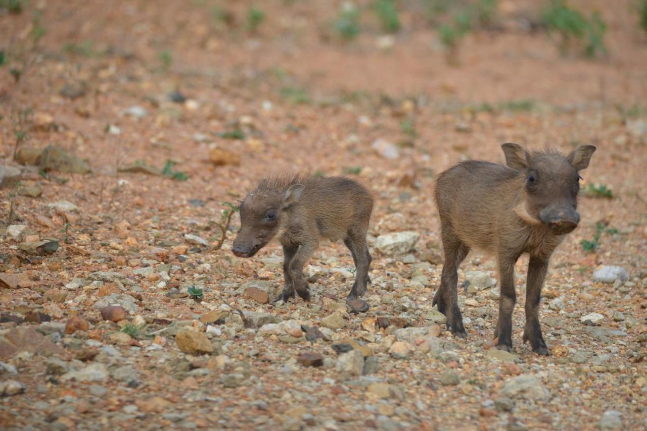 Thuhlo Lodge Hoedspruit Buitenkant foto
