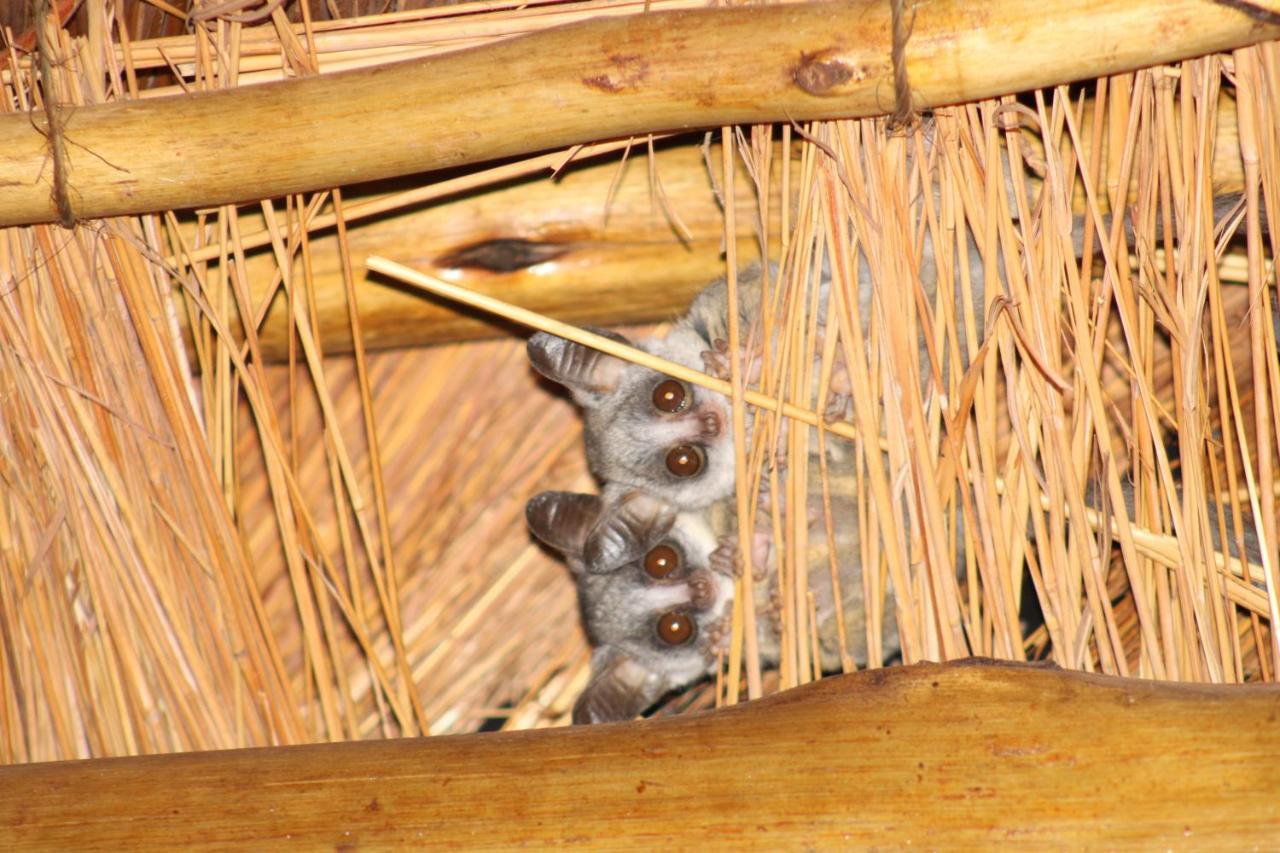 Thuhlo Lodge Hoedspruit Buitenkant foto