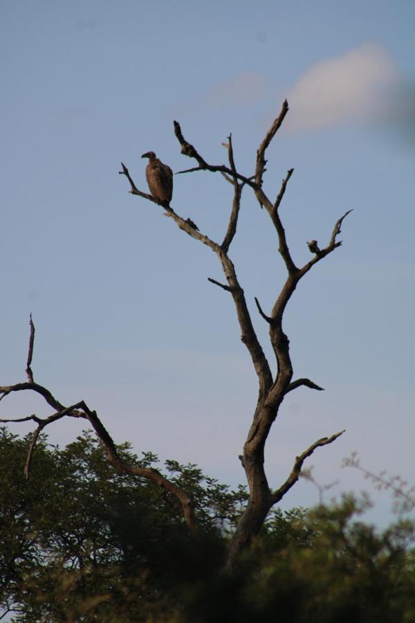 Thuhlo Lodge Hoedspruit Buitenkant foto